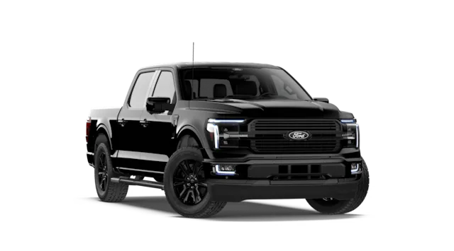 Platinum® trim image